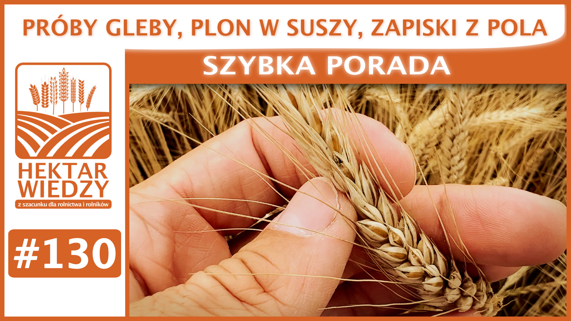 Pr By Gleby Plon W Suszy Zapiski Z Pola Szybka Porada