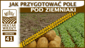 HEKTAR_WIEDZY_41_OKLADKA_ARCHIWUM