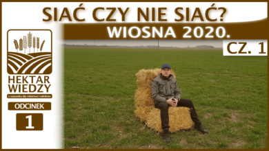 Photo of SIAĆ CZY NIE SIAĆ? WIOSNA 2020. [Część 1.]