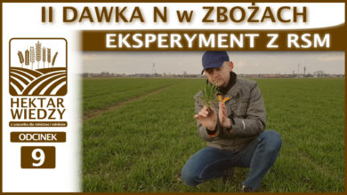 Photo of II DAWKA N w ZBOŻACH – EKSPERYMENT Z RSM.