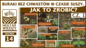 ARCHIWUM_HEKTAR_WIEDZY_ODCINEK_#14