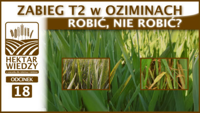 Photo of ROBIĆ, NIE ROBIĆ? ZABIEG T2 W OZIMINACH.