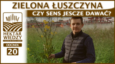 Photo of ZIELONA ŁUSZCZYNA – CZY SENS JESZCZE DAWAĆ?