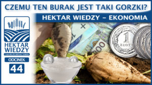 CZEMU TEN BURAK JEST TAKI GORZKI? | ODCINEK #44
