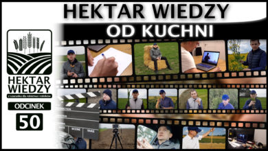 Photo of HEKTAR WIEDZY – OD KUCHNI.