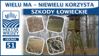 Photo of SZKODY ŁOWIECKIE. WIELU MA – NIEWIELU KORZYSTA.