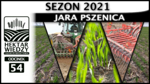JARA PSZENICA - SEZON 2021. | ODCINEK #54