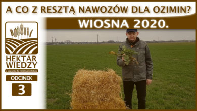 Photo of A CO Z RESZTĄ NAWOZÓW DLA OZIMIN? WIOSNA 2020.