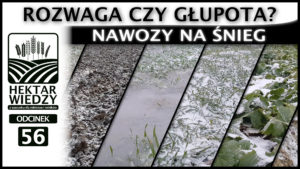 NAWOZY NA ŚNIEG - ROZWAGA CZY GŁUPOTA? | ODCINEK #56