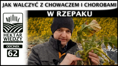 Photo of JAK WALCZYĆ Z CHOWACZEM I CHOROBAMI W RZEPAKU? | ODCINEK #62
