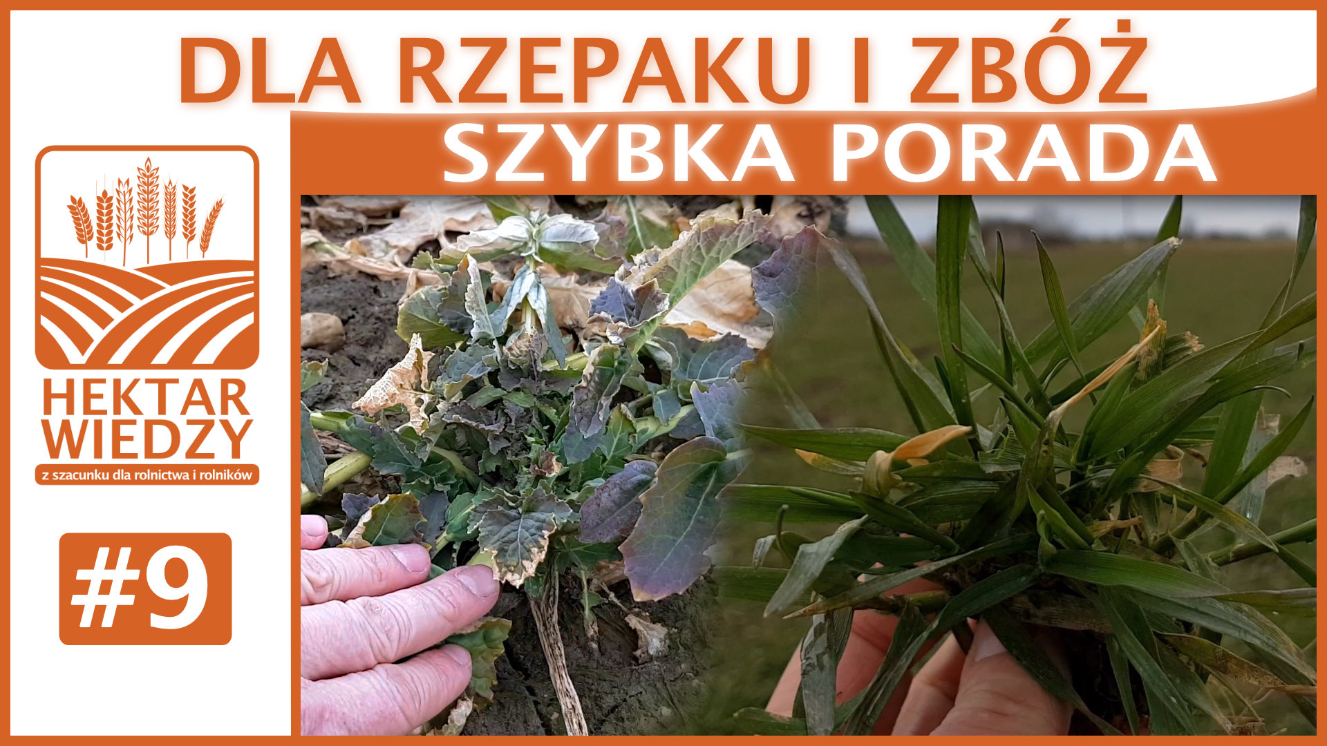 PORTAL_SZYBKA_PORADA_OKLADKA_9