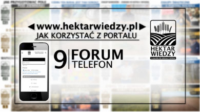 Photo of FORUM [TELEFON] | JAK KORZYSTAĆ Z PORTALU | 9