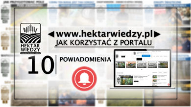 Photo of POWIADOMIENIA | JAK KORZYSTAĆ Z PORTALU | 10