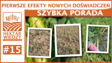 Photo of PIERWSZE EFEKTY NOWYCH DOŚWIADCZEŃ. | SZYBKA PORADA #15