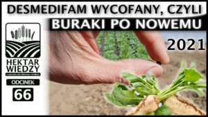 VIMEO_HEKTAR_WIEDZY_OKLADKA_66