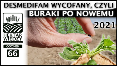 Photo of DESMEDIFAM WYCOFANY, CZYLI CZYSTE BURAKI PO NOWEMU.