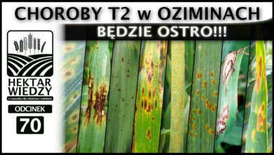 Photo of ZAPOWIEDŹ | BĘDZIE OSTRO!!! CHOROBY T2 W OZIMINACH. | ODCINEK #70