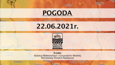 Photo of Pogoda 22.06.2021