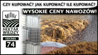 Photo of WYSOKIE CENY NAWOZÓW, CZYLI CZY KUPOWAĆ, JAK KUPOWAĆ, ILE KUPOWAĆ? | ODCINEK #74