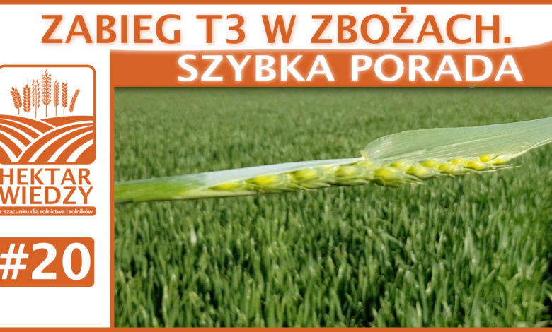 SZYBKA_PORADA_20