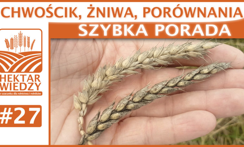 SZYBKA_PORADA_27