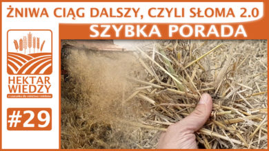 Photo of ŻNIWA CIĄG DALSZY, CZYLI SŁOMA 2.0. | SZYBKA PORADA #29