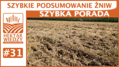Photo of SZYBKIE PODSUMOWANIE ŻNIW. | SZYBKA PORADA #31