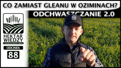 Photo of CO ZAMIAST GLEANU W OZIMINACH, CZYLI ODCHWASZCZANIE 2.0. | ODCINEK #88