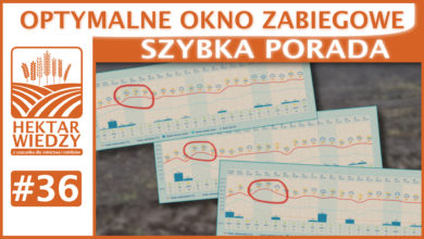 Photo of OPTYMALNE OKNO ZABIEGOWE. | SZYBKA PORADA #36