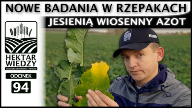 Photo of JESIENIĄ WIOSENNY AZOT, CZYLI NOWE BADANIA W RZEPAKACH. | ODCINEK #94