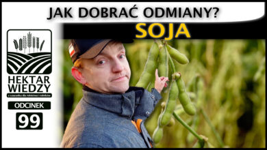 Photo of SOJA. JAK DOBRAĆ ODMIANY? | ODCINEK #99