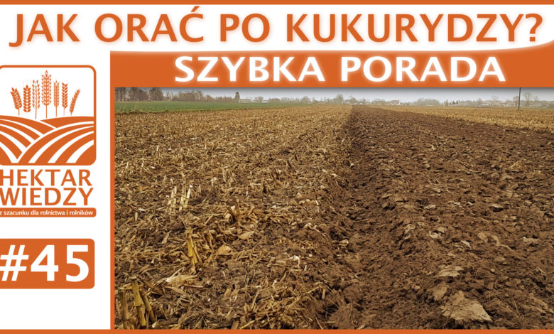 SZYBKA_PORADA_OKLADKA_45