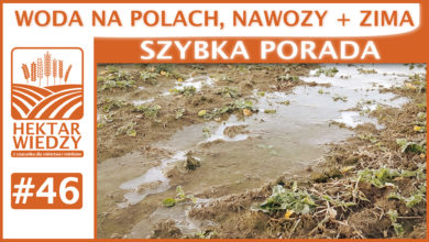 Photo of WODA NA POLACH, NAWOZY + ZIMA | SZYBKA PORADA #46
