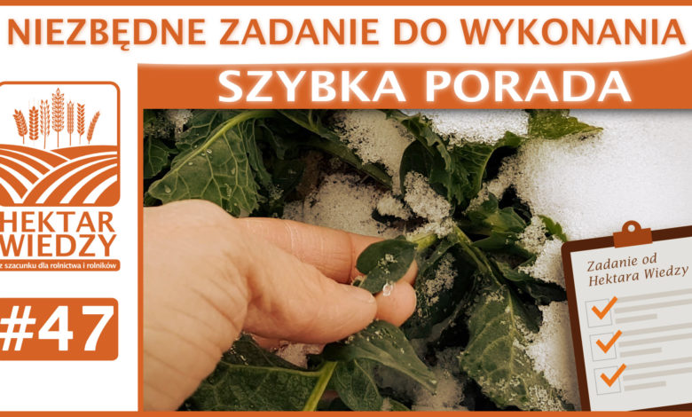 SZYBKA_PORADA_OKLADKA_47