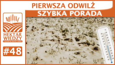 Photo of PIERWSZA ODWILŻ | SZYBKA PORADA #48