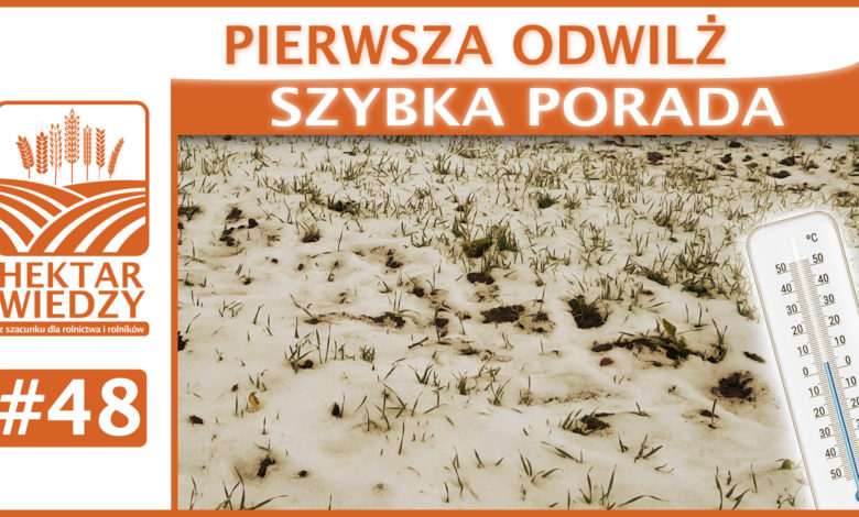 SZYBKA_PORADA_OKLADKA_48