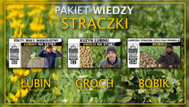 Photo of STRĄCZKI – PAKIET WIEDZY