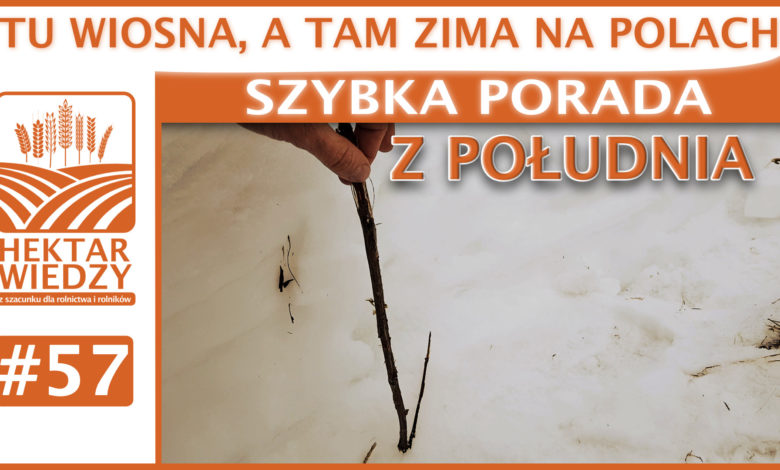 SZYBKA_PORADA_OKLADKA_57