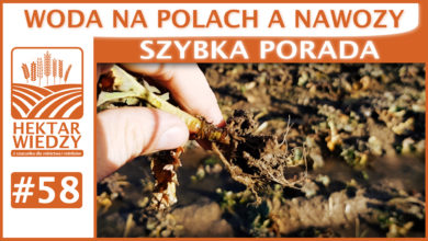 Photo of WODA NA POLACH A NAWOZY. | SZYBKA PORADA #58