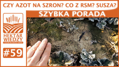 Photo of CZY AZOT NA SZRON, CO Z RSM, SUSZA? | SZYBKA PORADA #59