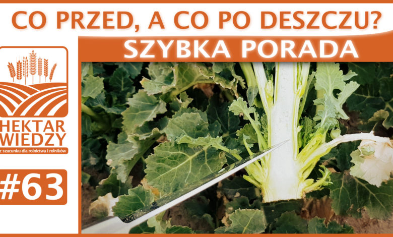 SZYBKA_PORADA_OKLADKA_63