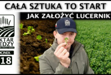 Photo of LUCERNA – CAŁA SZTUKA TO START. JAK ZAŁOŻYĆ LUCERNIK? | ODCINEK 118