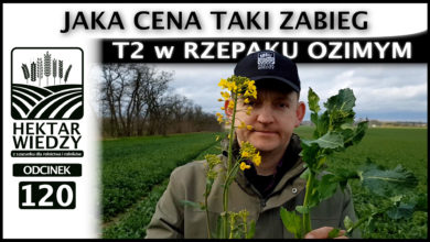 Photo of JAKA CENA TAKI ZABIEG. T2 w RZEPAKU OZIMYM. | ODCINEK 120