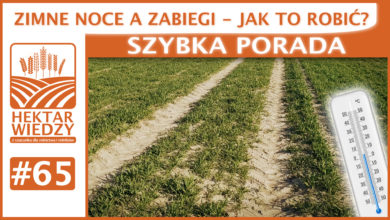 Photo of ZIMNE NOCE A ZABIEGI – JAK TO ROBIĆ? | SZYBKA PORADA #65
