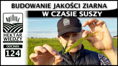 Photo of BUDOWANIE JAKOŚCI ZIARNA W CZASIE SUSZY.  | ODCINEK 124