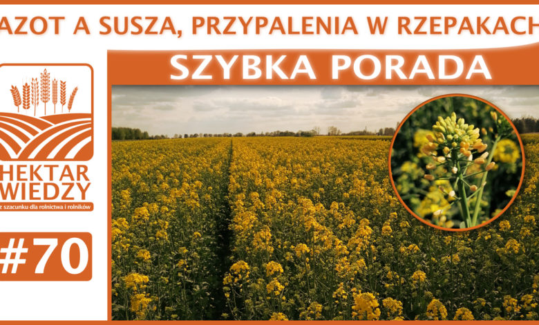 SZYBKA_PORADA_OKLADKA_70