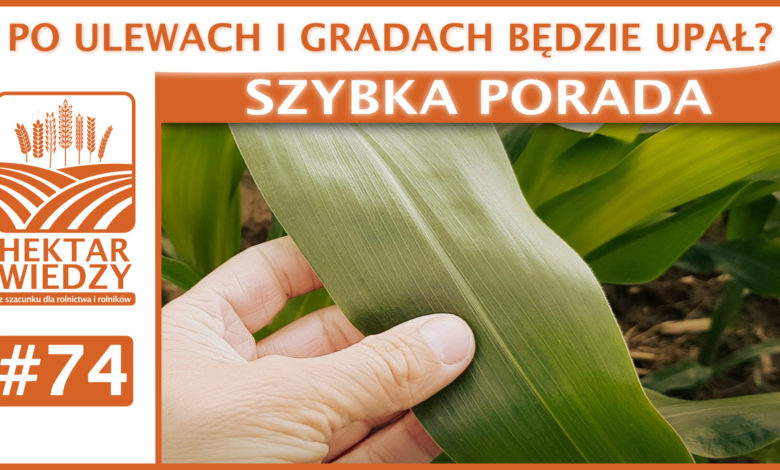 SZYBKA_PORADA_OKLADKA_74