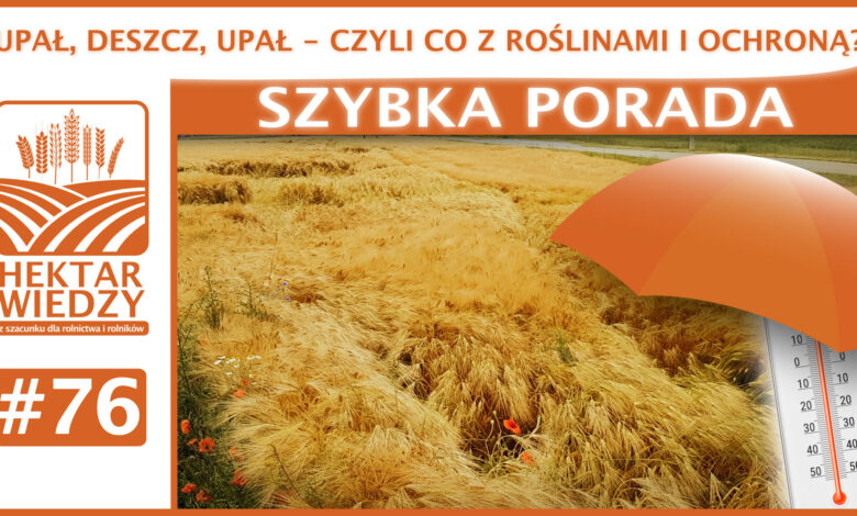 SZYBKA_PORADA_OKLADKA_76