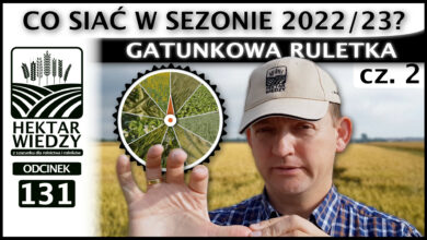 Photo of CO SIAĆ W SEZONIE 2022/23? GATUNKOWA RULETKA Część 2. | ODCINEK 131