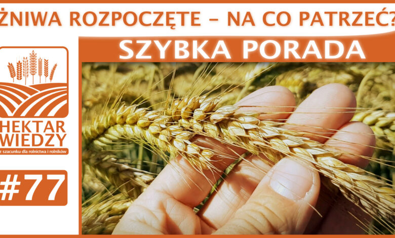 SZYBKA_PORADA_OKLADKA_77